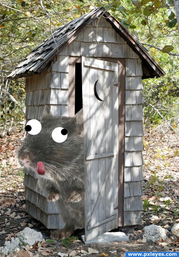 Crazier than Outhouse Rat!